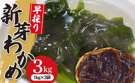 《R7年2月発送》早採りわかめ1kg×3袋【三陸山田漁協】【配送日指定不可】【沖縄・離島配送不可】 山田町 岩手県山田町 海産品 三陸産 しゃぶしゃぶ 味噌汁 酢の物 海藻 YD-788