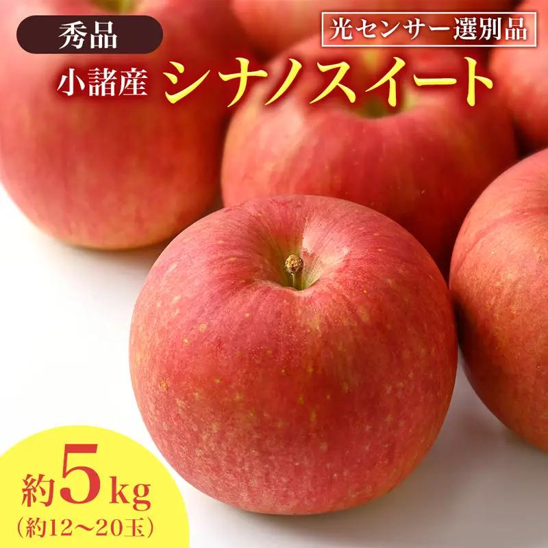りんご シナノスイート 秀品 約5kg 12～20玉入 リンゴ