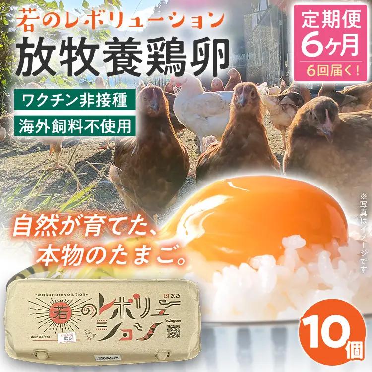 卵 定期便 6回 放牧養鶏卵 10個 「破損補償2個含」 6ヶ月間 若のレボリューション 卵 ※北海道・沖縄・離島は配送不可