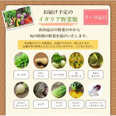 ふるさと納税 河北町 かほくイタリア野菜 旬のおまかせBOX(8〜10種類) |  | 01