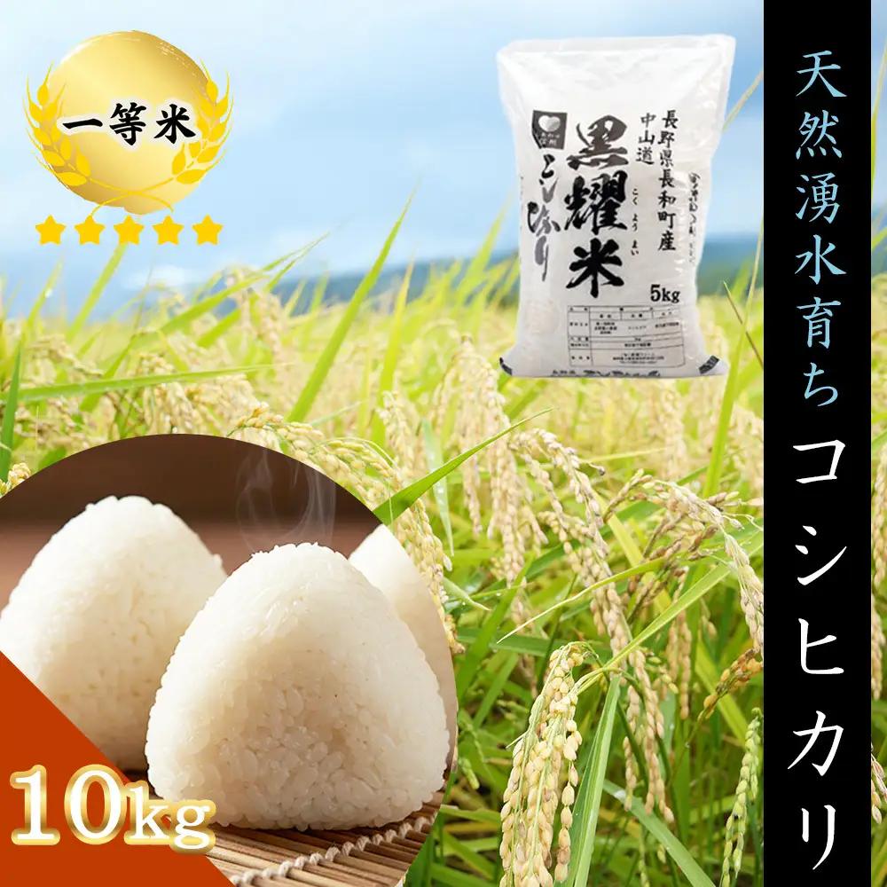 【ふるなびWEEK対象】令和7年産 コシヒカリ10キロ(5kg×2袋) 天然の軟水「黒耀水」育ちのお米 長野県長和町産 農家直送 一等米精白米