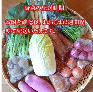 旬の野菜7種詰め合わせ『たくみのほほ笑みセット』（2026年6～12月出荷／北海道・九州・沖縄県・離島は配送不可） 旬彩 長野県 信州 おまかせ 高原  産地直送 季節  有機 栽培