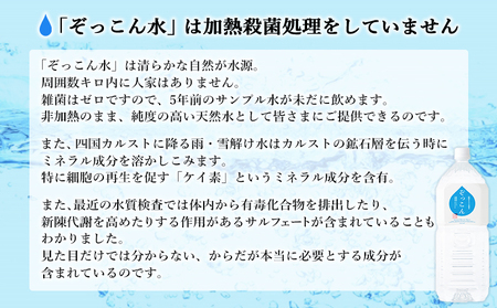 四国カルスト天然水ぞっこん 2L(6本入り)×2ケース 計12本 NZS0003
