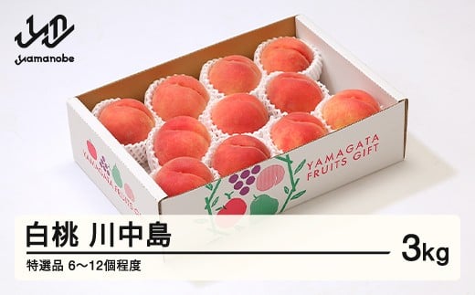 【先行予約】もも 桃 川中島白桃 特選品 約3kg(6~12個程度)  2026年産 山形県産 ※沖縄・離島への配送不可 tf-moknt3