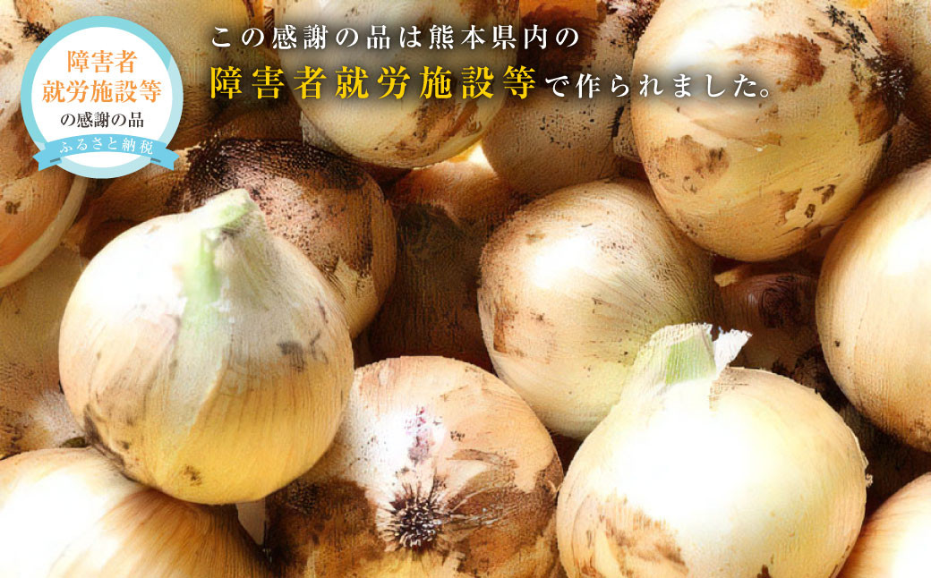 
こだわり サラダ玉ねぎ 合計 8kg タマネギ たまねぎ 玉ねぎ 玉葱 常温 九州 熊本県産 【2025年4月上旬発送開始】
