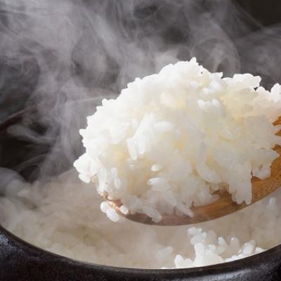 ふるさと納税 大野城市 【毎月定期便】福岡県産米『夢つくし』&『元気つくし』各5kg(大野城市)全6回 |  | 02