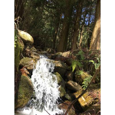 ふるさと納税 大津市 農林22号玄米2kg 天日干し 栽培期間中農薬・化学肥料不使用 |  | 03