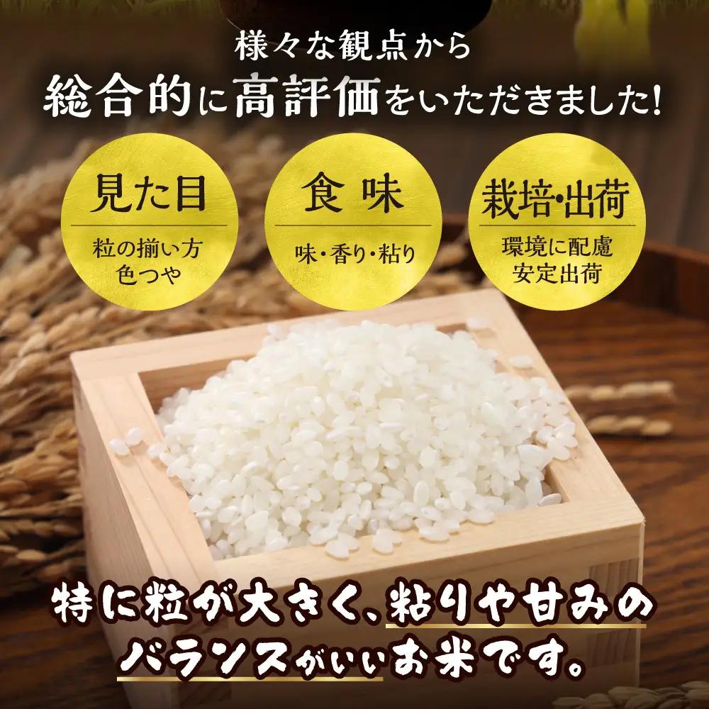【先行予約】【令和8年度産】特Aランクななつぼし　単一農家の美味しいお米5kg【6か月定期便】 | 新米 精米 白米 コメ アグリルーターズ 北海道 当別町