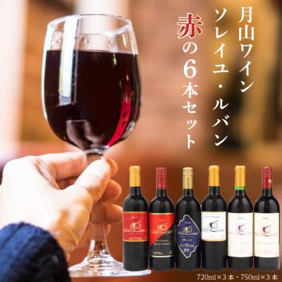 ふるさと納税 庄内町 食の都庄内 月山ワイン ソレイユ・ルバン 6本セット 750ml 720ml 赤ワイン 辛口 ワイン