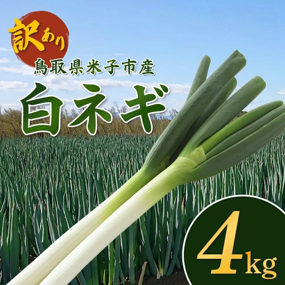 【ふるさと納税】【訳あり】産地直送 白ネギ 約4kg 鳥取県 米子市産 国産 ねぎ ネギ 葱 白ねぎ 不揃い ふぞろい 甘い 美味しい おいしい 鍋 家庭用 送料無料 NPO法人海