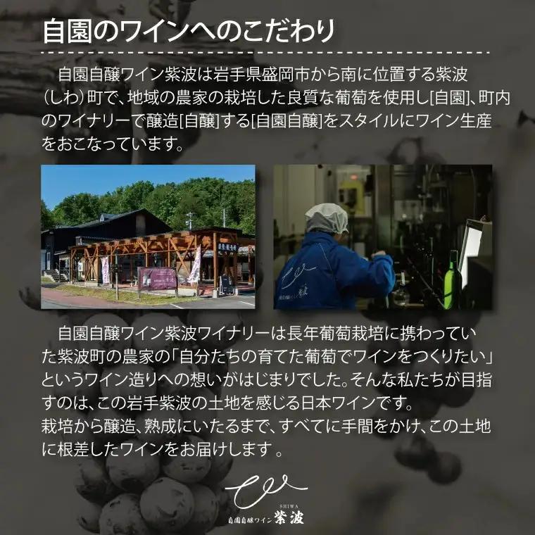 自園自醸ワイン紫波 「紫あ波せワイン 甘口12本セット」 (AL097)