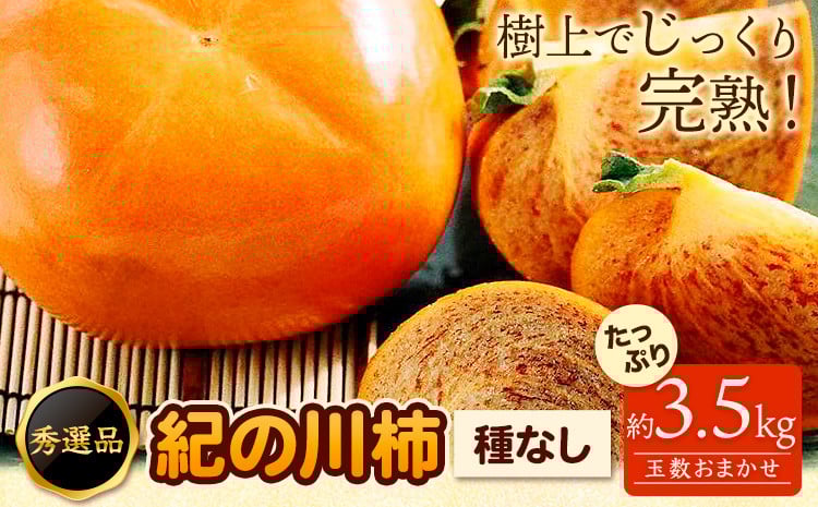 
                  【2026年先行予約】希少 紀の川柿 約3.5kg~4kg（種無し） 秀選品 (玉数おまかせ) 厳選館 《2026年11月上旬-11月中旬頃出荷》 和歌山県 日高町 柿 カキ かき ジューシー フルーツ 青果 果物
                