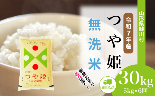 ＜令和7年産米＞ 山形県産 特別栽培米 つや姫 【無洗米】30kg定期便 (5kg×6回)　配送時期指定できます！