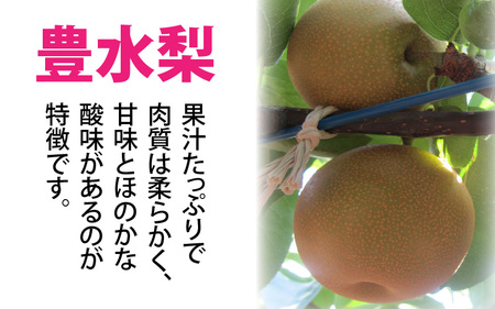 【先行予約】「福井梨」6～8玉 シャキっとした食感♪ あふれ出す果汁！【豊水梨】【2026年9月上旬～9月下旬発送予定】【梨 なし 和梨 先行予約 ナシ フルーツ 甘い みずみずしい 果実 果物 新鮮