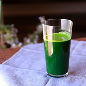 ベルファームの冷凍プレミアム有機青汁 茨城県産ケール100% 100g×30袋【離島・沖縄配送不可】【配送不可地域：離島・沖縄県】【1691758】