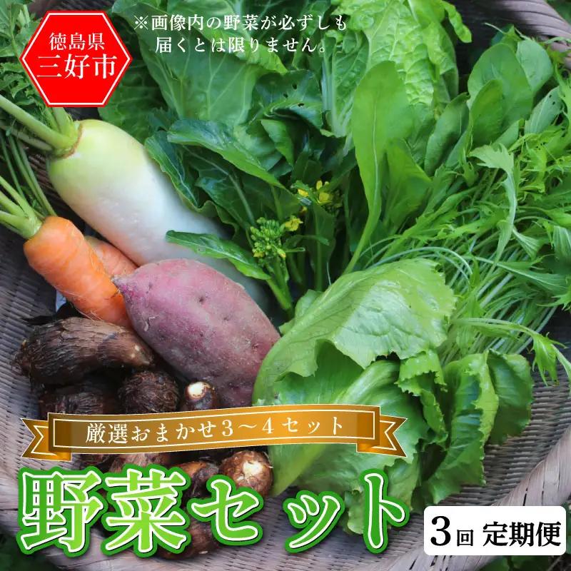 野菜 おまかせ セット 3～4種 旬の野菜 詰め合わせ 定期便 3回【 野菜 】