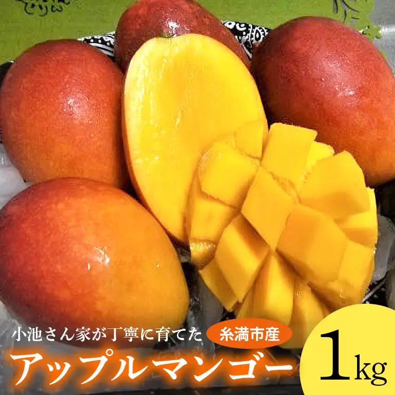【2026年発送】 小池さん家が丁寧に育てた アップルマンゴー 1kg 沖縄県産 マンゴー アーウィンマンゴー 1キロ 国産 完熟マンゴー 果物 南国 くだもの フルーツ 完熟 夏 旬 沖縄 お取り寄せ 産地直送 農家直送 甘い 濃厚 糸満市 126-12