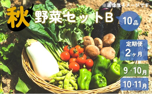 
                  【予約受付/2025年9月又は10月発送開始】秋 野菜セット B【 2ヶ月 定期便 】 10品 以上 季節 旬 秋野菜 きのこ 葉物  果菜 根菜 冷蔵 野菜室 ダイエット 食 栄養食 加工品  岩手県産 北上産 季節限定 稀少 数量限定 瓜 じゃが芋 里芋 長芋 大根 キャベツ ピーマン カリフラワー ブロッコリー 白菜 長ネギ ほうれん草 小松菜 レタス リーフレタス ししとう かぶ  玉ねぎ
                