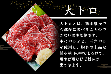 大トロ馬刺し(50g)中トロ(霜降り)馬刺し(50g)食べ比べコース【純国産熊本肥育】《30日以内に出荷予定(土日祝除く)》