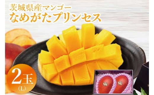 【2026年6月下旬より順次発送】★数量限定★マンゴー なめがたプリンセス 2玉(L)｜マンゴー フルーツ 果物 くだもの 数量限定 先行予約 茨城県 行方市(EJ-11)