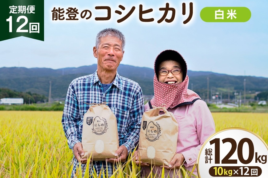 【期間限定発送】 米 定期便 コシヒカリ 白米 10kg 12回 総計 120kg [農家にしの 石川県 宝達志水町 38601410] こしひかり お米 おこめ こめ コメ 精米 ごはん ご飯 令和8年産 新米