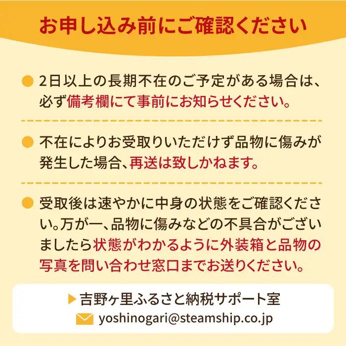 【先行予約・27年1月以降順次発送】さがほのか＆いちごさん 平パック×4P （約1kg）|いちご 果物 旬 イチゴ 苺 フルーツ 佐賀県産 佐賀産 佐賀| 吉野ヶ里町/リエンサーク [FCC004]