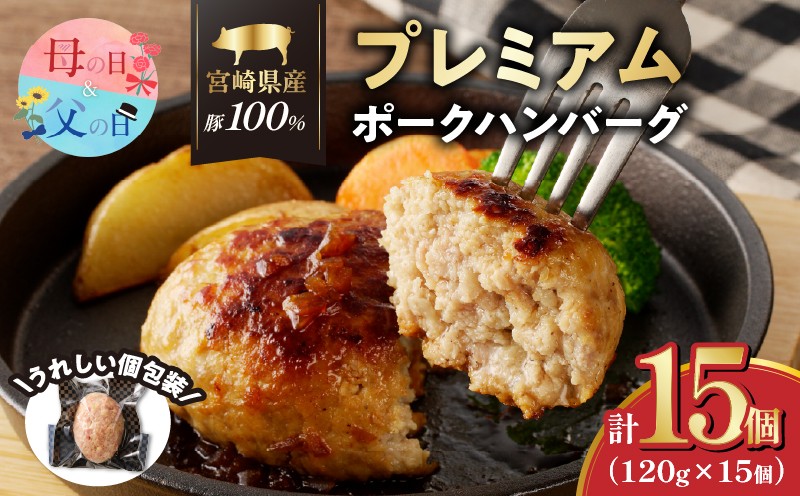 
                  【選べる発送時期】宮崎県産豚プレミアムハンバーグ(計15個) 母の日 父の日 肉 豚肉 加工品 惣菜 国産_T001-0115-o
                
