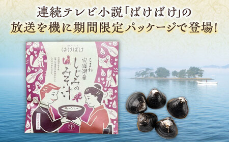 毎日食べたい！宍道湖産大和しじみの即席しじみ汁(合わせ味噌)46g×20袋 連続テレビ小説「ばけばけ」ロゴライセンス商品 島根県松江市/平野缶詰有限会社[ALBZ045]