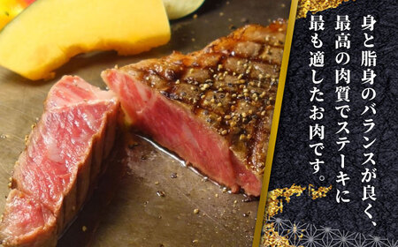 【全12回定期便】熊本県産 あか牛 サーロインステーキセット 計400g ( 200g × 2枚 ) 冷凍 専用タレ付き あか牛のたれ付き 熊本和牛【有限会社 三協畜産】[YCG096]