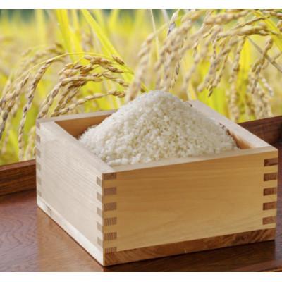 ふるさと納税 小諸市 小諸市糠地産 こしひかり「深沢清流米」精米 6kg(2kg×3袋)