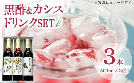 ヘルシー ドリンク セット 500ml × 3種 （ カシス / ベリー / 黒酢 ）《豊前市》【ハウスボトラーズ】飲料 ドリンク [VAX002]