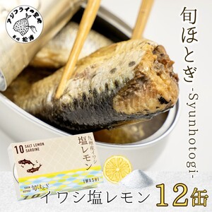 缶詰工場直送 「旬ほとぎ」イワシ塩レモン12缶( いわし イワシ 鰯 缶詰 イワシ缶 いわし缶 鰯缶 ご飯のお供 保存食 )【B0-253】
