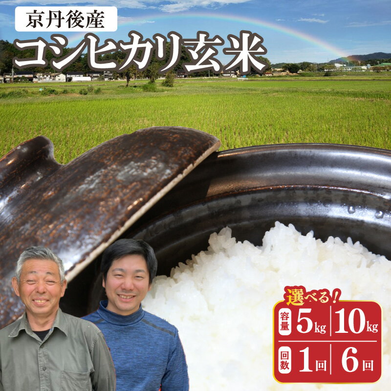 【ふるさと納税】先行予約／玄米【京都の家族経営農家直送】 高評価★5.0 高レビュー★ 丹後弥栄産コシヒカリ 玄米 5kg 10kg 定期便 1回 6回　選べる 内容量 定期便 ふるさと納税 お米 米 玄米 コシヒカリ 定期便 農家直送 丹後こしひかり ふるさと納税 玄米