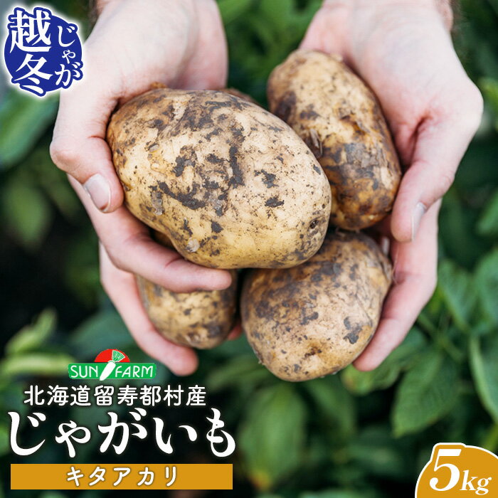【ふるさと納税】越冬じゃがいも キタアカリ 5kg いも おいも 芋 イモ ジャガイモ ポテト きたあかり オンライン 申請 ふるさと納税 北海道 留寿都 野菜 根菜 ホクホク 産地直送 新鮮 採れたて ポテトサラダ コロッケ スープ 5キロ 留寿都村【24020】