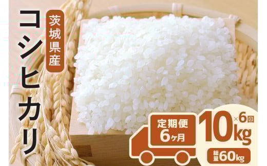 定期便 常陸牛農家が育てるコシヒカリ 10kg×6回 令和7年度産 米 お米 白米 こめ 精米 取り寄せ 特産 ごはん ご飯 コメ お取り寄せ ギフト 贈り物 お弁当 弁当 おにぎり ふっくら ツヤツヤ 甘い 農家直送 産地直送 国産 茨城県産