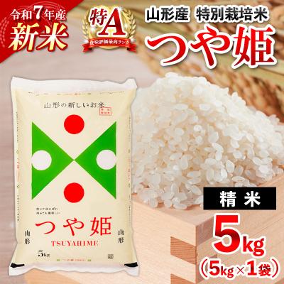 ふるさと納税 山形市 【1月発送】令和7年産 山形産 特別栽培米 つや姫(白米) 5kg FY25-344