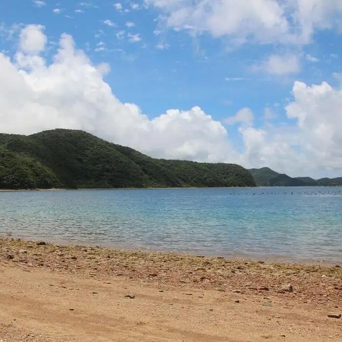 【奄美大島 瀬戸内町】JTBふるさと旅行券（450,000円分）有効期間5年 | 予約 宿泊 観光 体験 温泉 ホテル 旅館 チケット 子供 子連れ カップル 家族 店頭 電話 瀬戸内