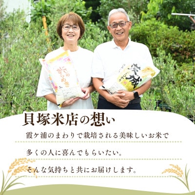 【毎月定期便】新米 コシヒカリ 精米 10kg全3回 | お米 おこめ こしひかり 茨城県産