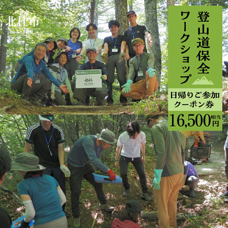 【ふるさと納税】 クーポン券 アクティビティ ワークショップ 16,500円相当 日帰り 登山道保全ワークショップ 体験 チケット 山梨 北杜 体験 旅行 トラベル
