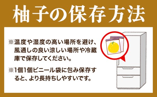 ゆず 国産 ご家庭用 訳あり 紀州 和歌山県産 有田 柚子 約3kg 有田マルシェ《2026年10月末頃-2027年1月下旬頃発送予定》 和歌山県 日高町 ユズ 柑橘 フルーツ ギフト 送料無料