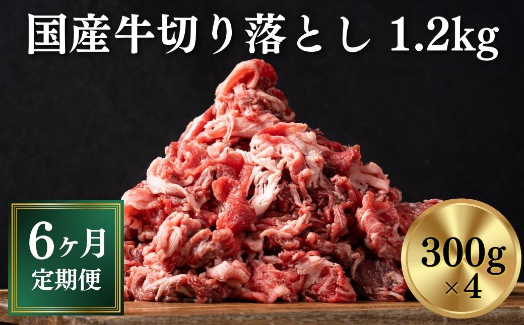 
【定期便/6ヶ月】《格之進》岩手県産 牛肉 切り落とし 1.2kg×6回お届け 【 冷凍 小分け 料理 家計応援 岩手 一関市 】
