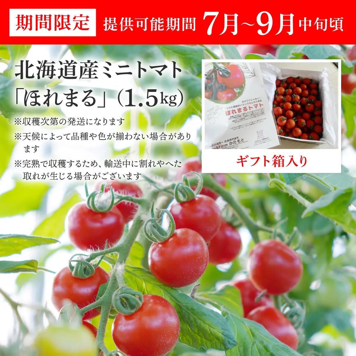 ＜先行予約＞ミニトマト ほれまる 1.5kg【ffk-001】