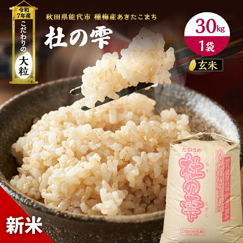【ふるさと納税】令和7年産 新米 玄米 秋田 あきたこまち 杜の雫 30kg 1袋 秋田県産 米 お米 こだわりの大粒 種梅産 ご飯 ブランド米 大粒 おにぎり 産地直送 送料無料 おこめ ごはん 秋田県　お届け：2025年9月下旬より順次発送予定です。