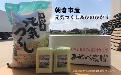 
元気つくし5kg&ひのひかり450g×4　＜綾部農園＞
