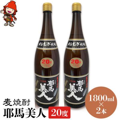 ふるさと納税 中津市 麦焼酎　耶馬美人20度　1,800ml×2