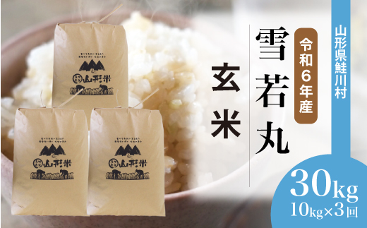 ＜令和6年産米＞ 約2週間でお届け開始　雪若丸【玄米】30kg 定期便 (10kg×3回) 鮭川村