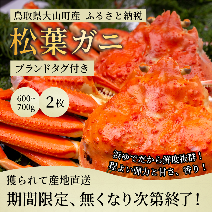 OM-27　ブランドタグ付 高級ボイル松葉ガニ（600ｇ～700ｇを２枚）