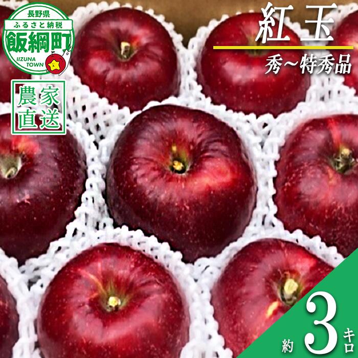 【ふるさと納税】 りんご 紅玉 秀 〜 特秀 3kg サイズおまかせ 井澤農園 沖縄県への配送不可 令和7年度収穫分 エコファーマー認定 長野県 飯綱町 〔 信州 果物 フルーツ リンゴ 林檎 長野 15000円 予約 農家直送 〕発送時期：2025年10月上旬〜2025年11月中旬 {***}