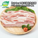 【ふるさと納税】【レビューキャンペーン対象】≪放牧和豚≫ バラ 1cmスライス 300g - 豚肉 最も定番でかつ万能の部位 肉と脂身の二重奏をダイレクトに楽しみたい方に Pioneer Pork(パイオニアポーク) 旨味・コク・さっぱり感の放牧和豚 送料無料【宮崎県木城町】