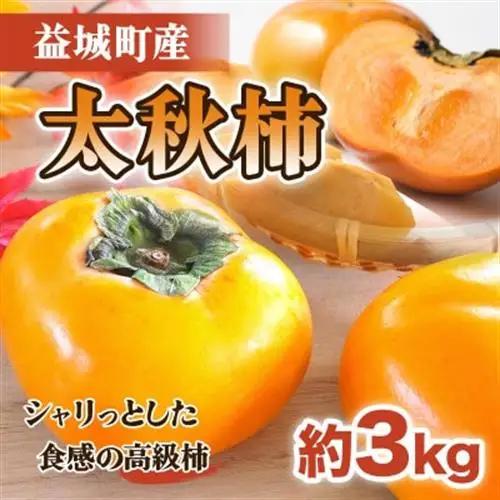 益城町産 太秋柿 約3kg(益城町)【配送不可地域：離島】【1510883】